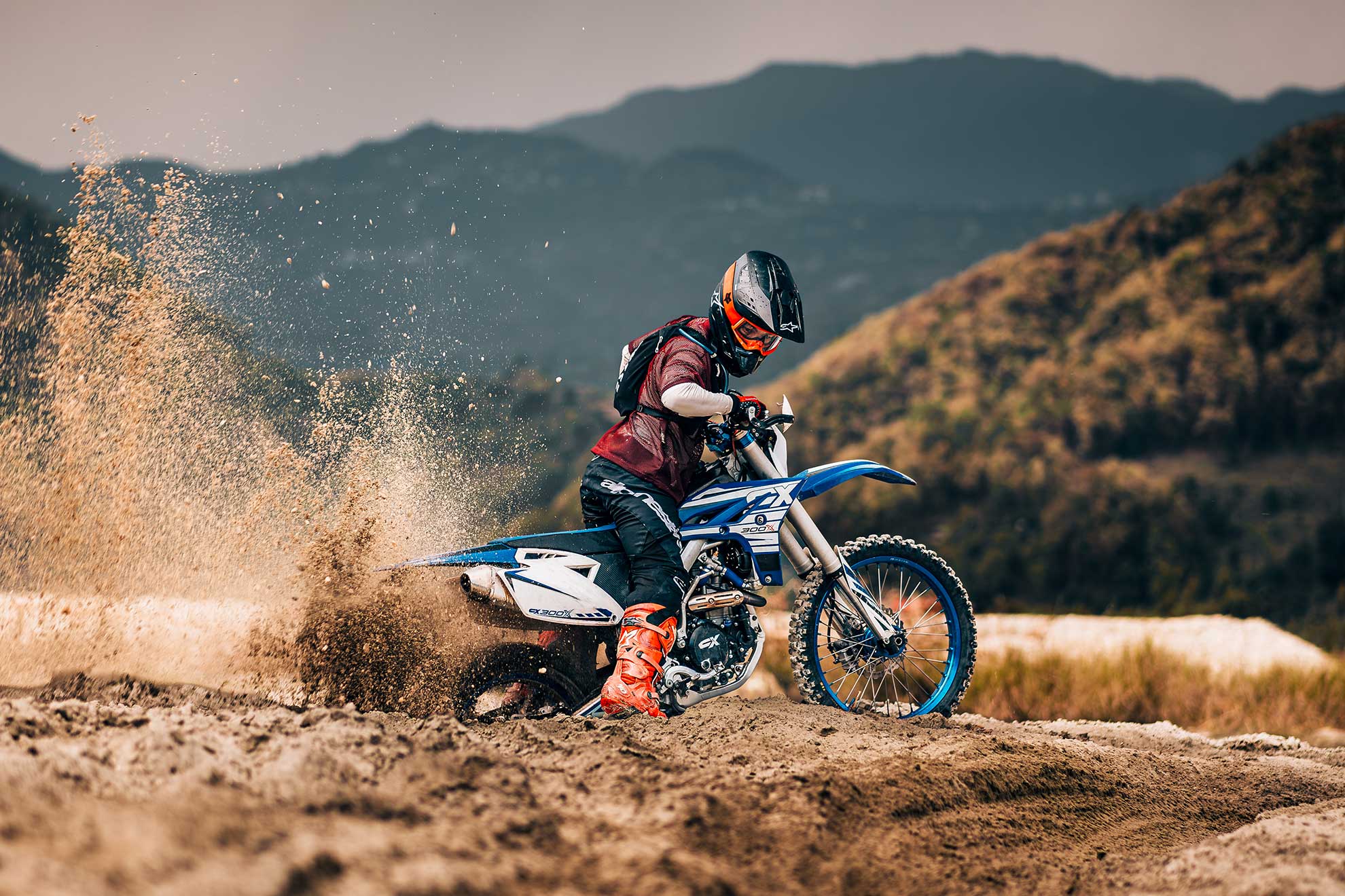 CX300X photo 1